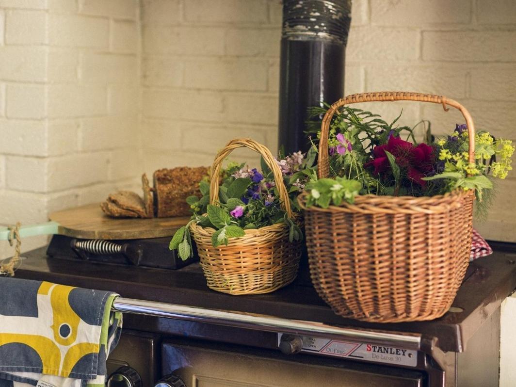Clonalis House - Guesthouse Castlerea Extérieur photo