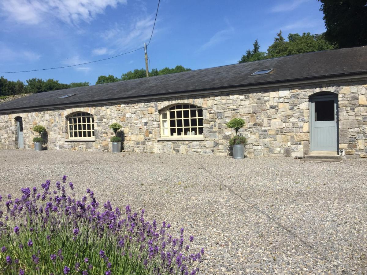 Clonalis House - Guesthouse Castlerea Extérieur photo